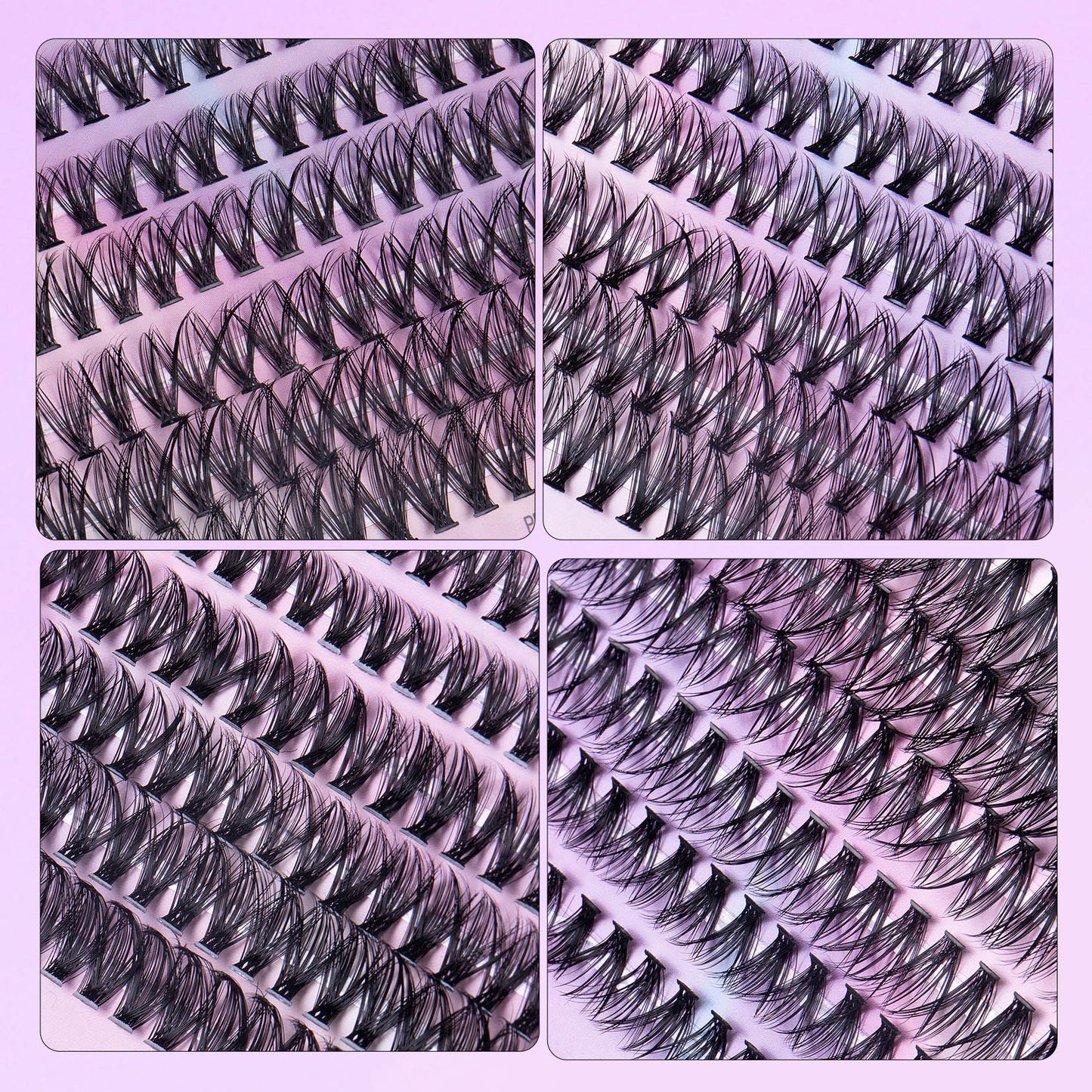 12 Rows Of 30D Plus 40D Clusters Of 240 Segmented Lashes Set