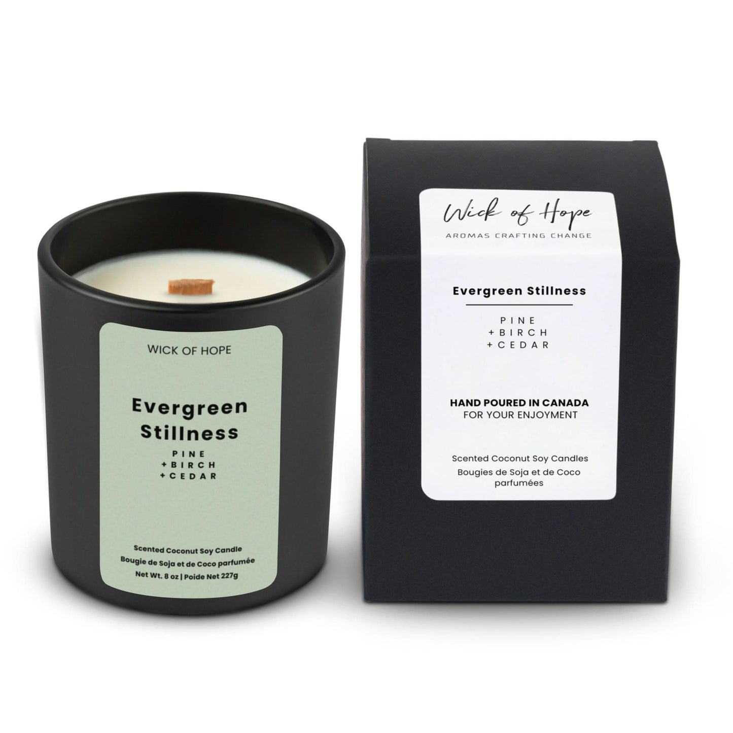 Evergreen Stillness Candle | Pine + Cedar