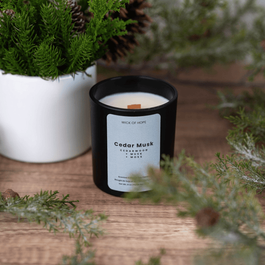 Cedar Musk Candle | Cedarwood + Moss