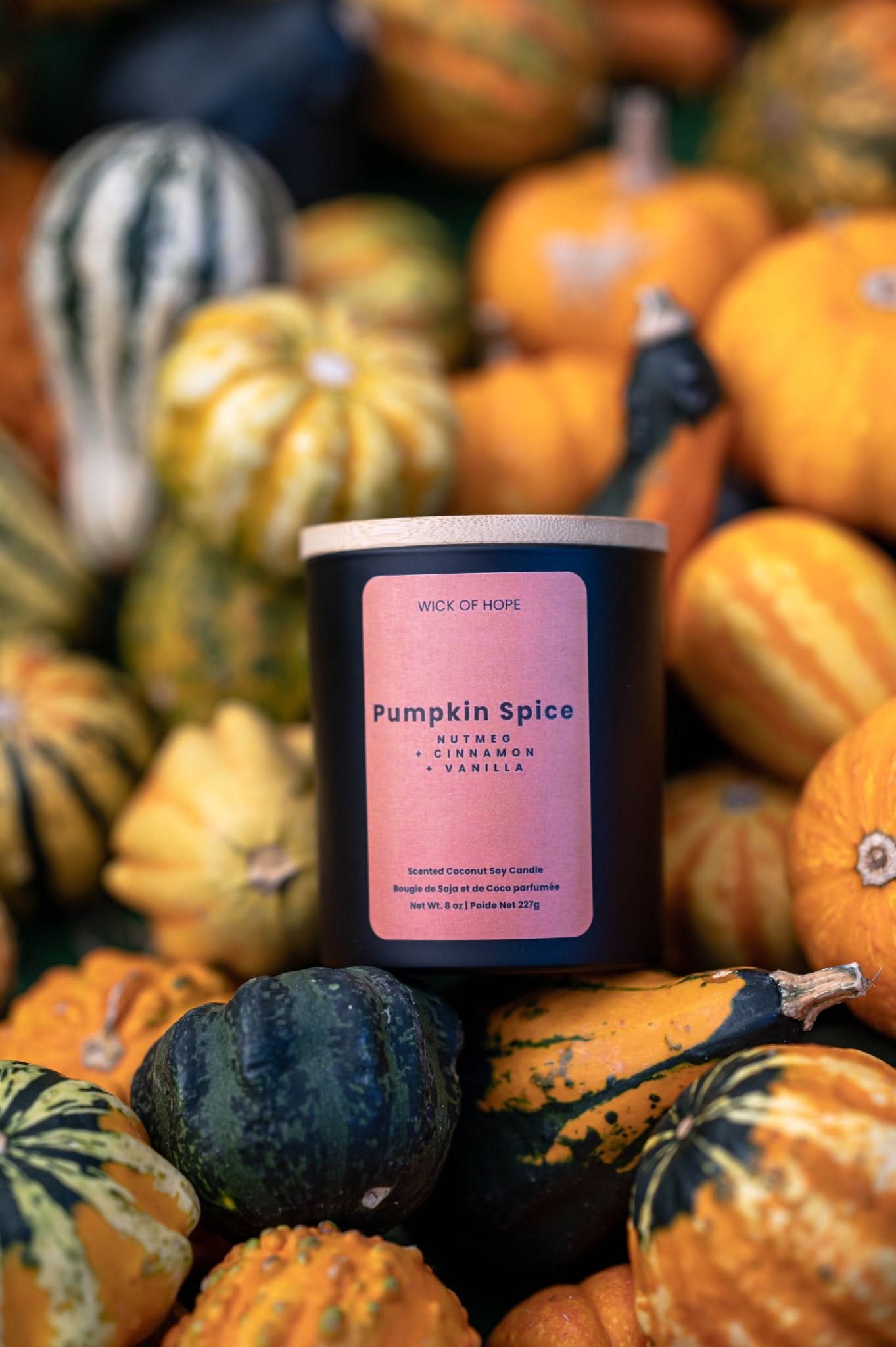 Pumpkin Spice Candle | Spiced Pumpkin + Cinnamon